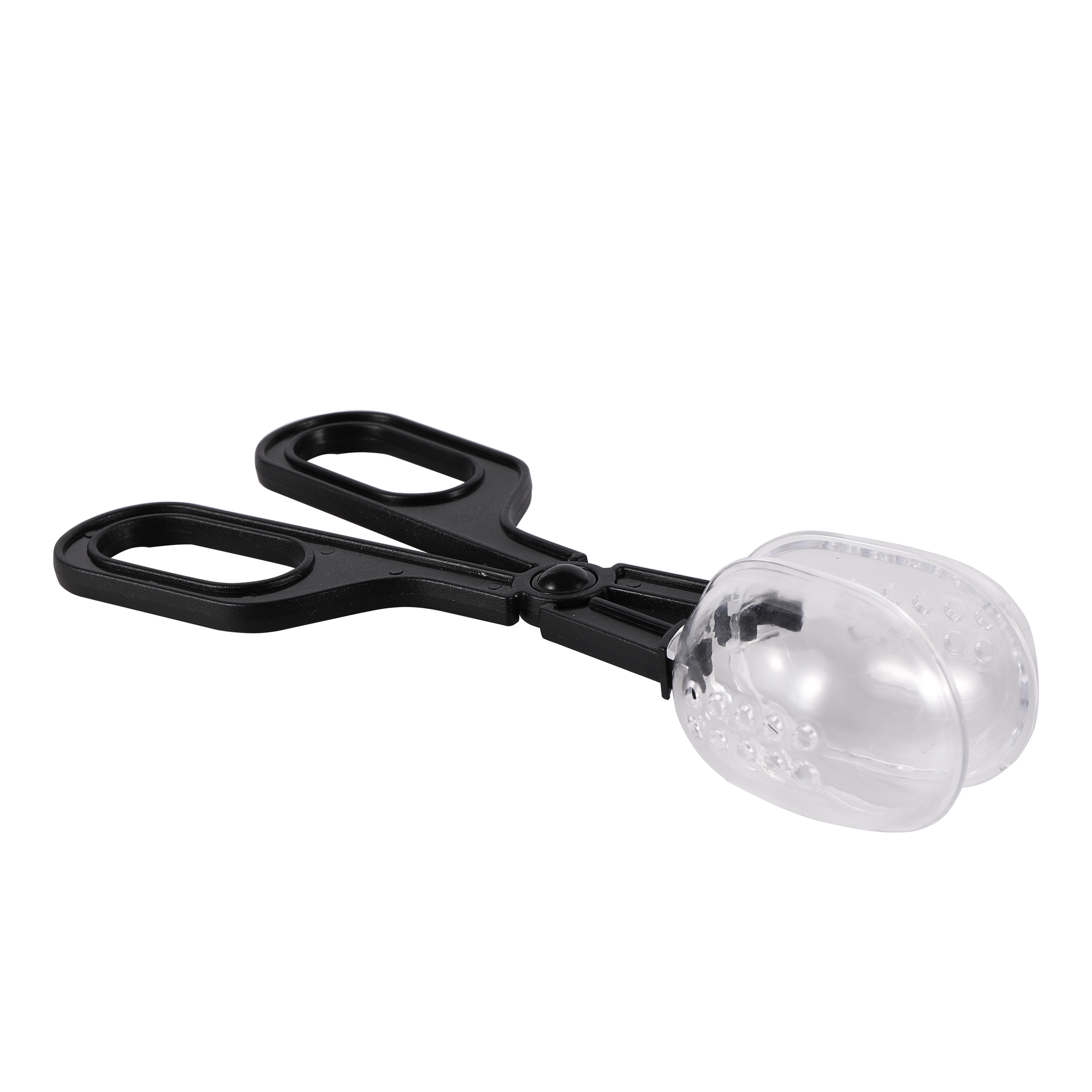 Bee Catching Clip Bee Queen Tr - Home Security Fence review and price
