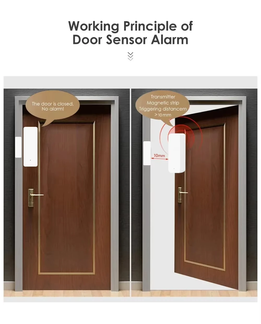 Tuya Zigbee/WiFi Magnetic Door - Window Alarm Sensor review and price
