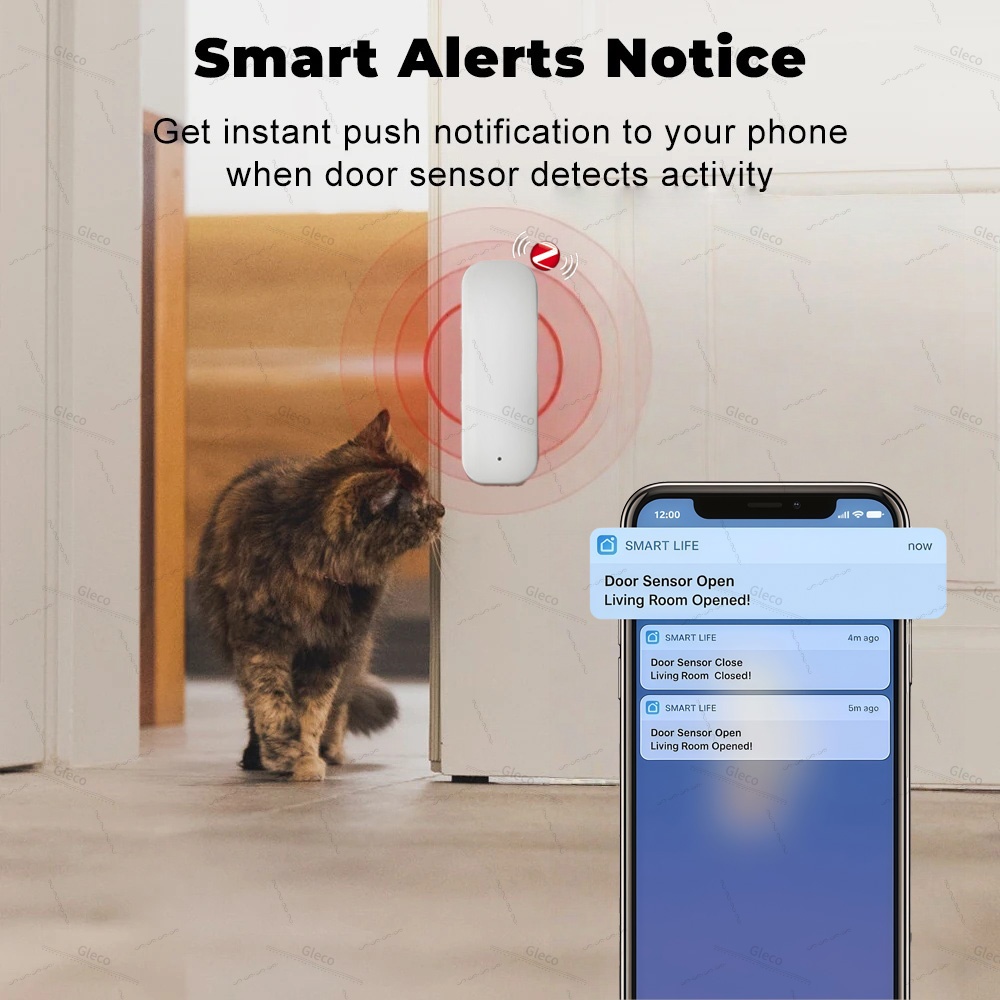 Tuya Zigbee Door Window Sensor - Window Alarm Sensor review and price